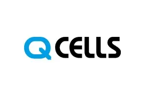 Q Cells